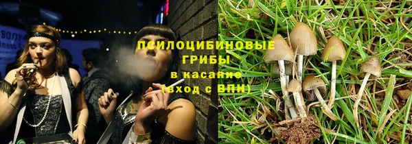 прущая мука Костерёво