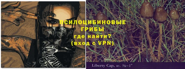 прущая мука Костерёво