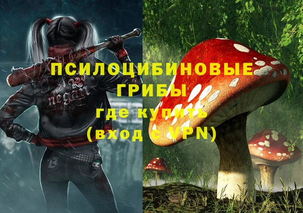 дмт Коряжма