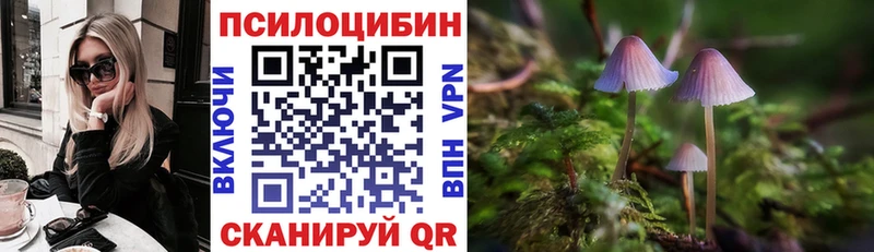 Галлюциногенные грибы ЛСД  Киселёвск 